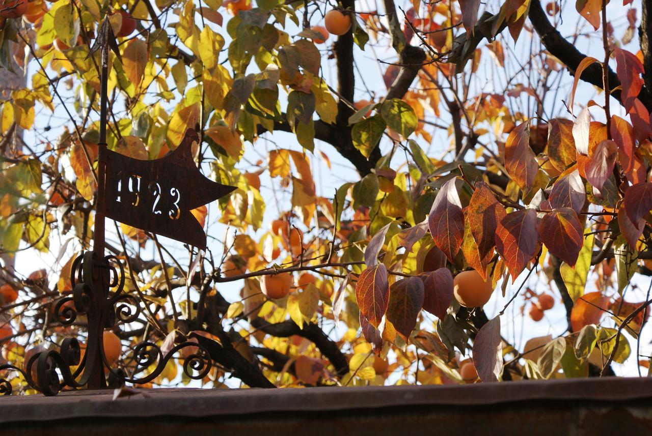 B&B Nella Terra Di Mezzo Caporiacco Exteriér fotografie
